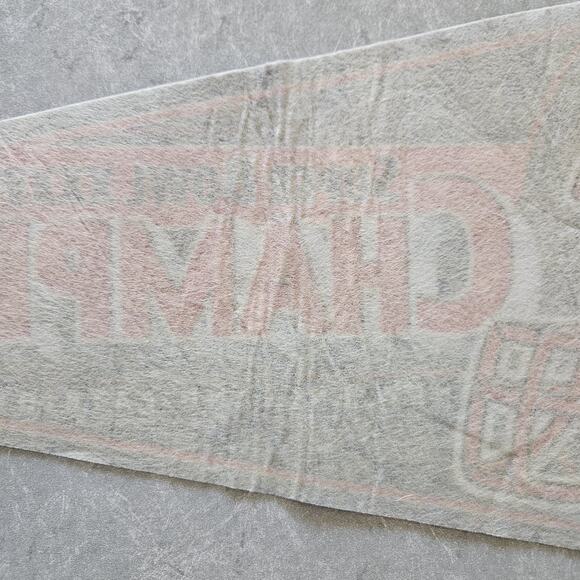 New England Patriots Pennant Superbowl XXXVIII Champions '04 Felt NFL Sports 30" - Picture 8 of 8